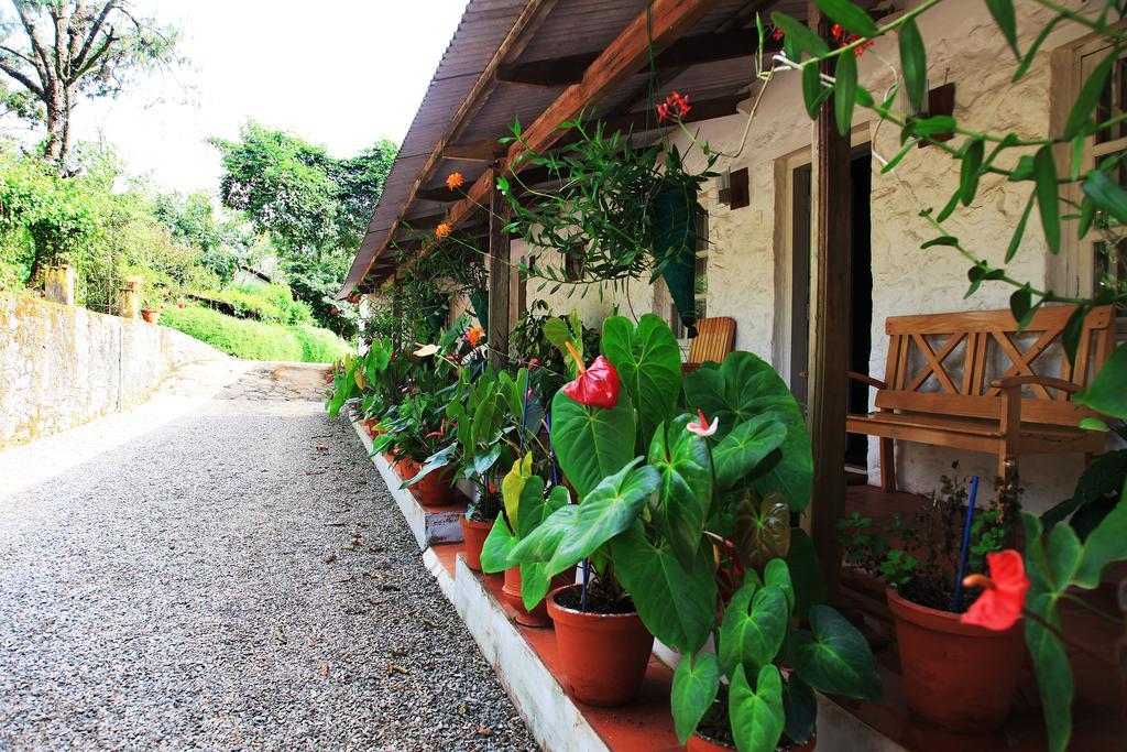 Thekkady Kalarickal Heritage Bungalow Vandanmedu Ngoại thất bức ảnh