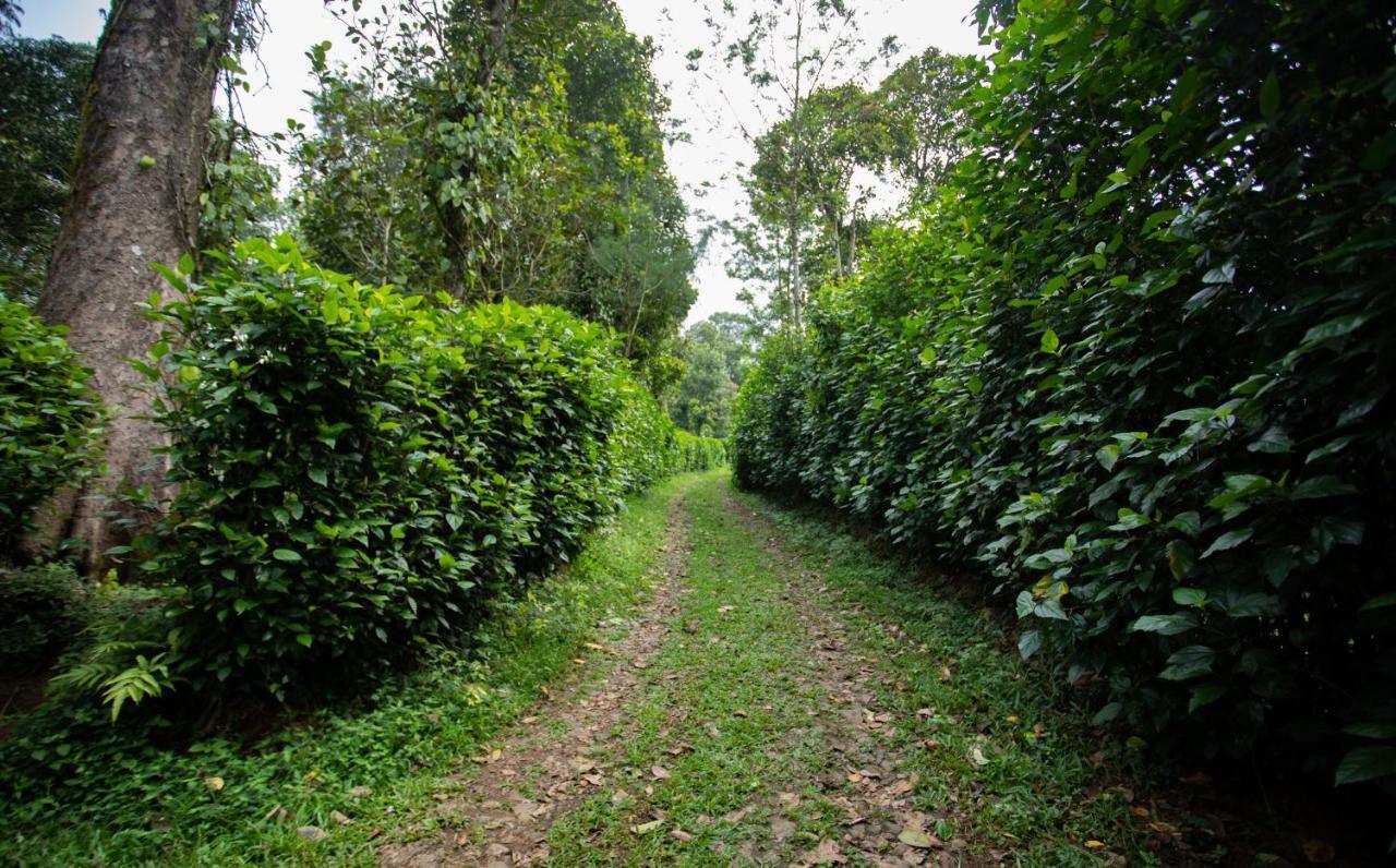 Thekkady Kalarickal Heritage Bungalow Vandanmedu Ngoại thất bức ảnh